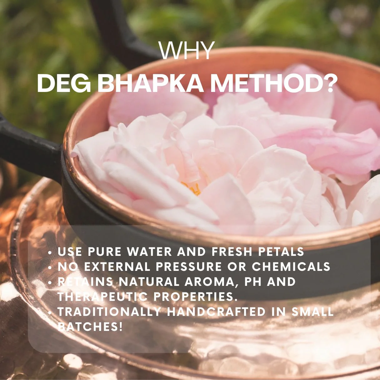 Pure Rose Water :  Hydrodistilled using traditional Deg Bhapka method, from Kannauj - Image 4